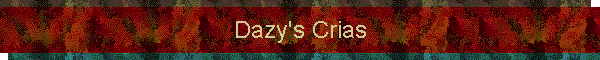 Dazy's Crias