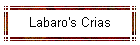 Labaro's Crias